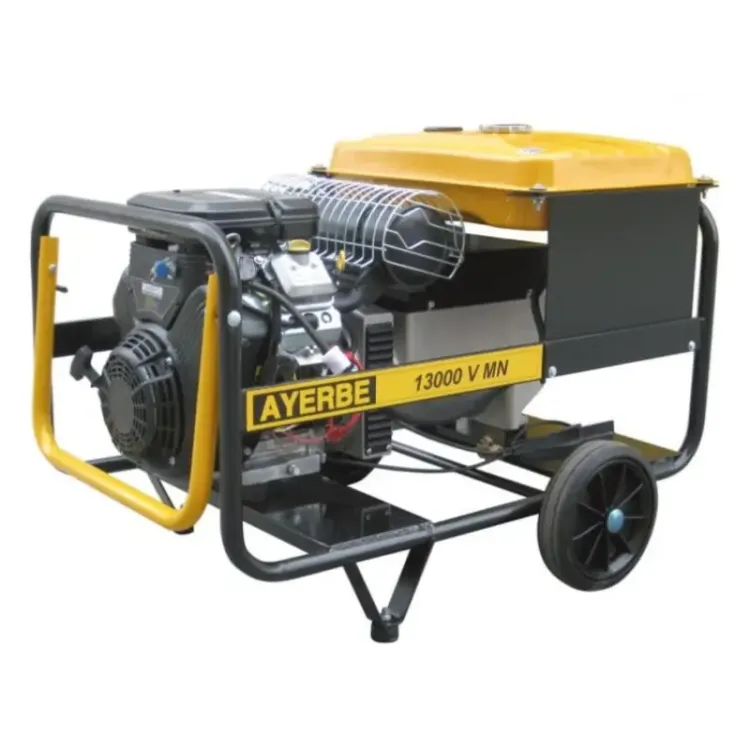 Gerador Ayerbe 13000 V MN A/E Vanguard 12.5 KVA 230V