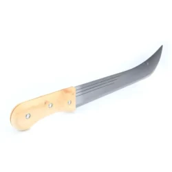 CATANA CABMAD 18 SAURIUM (2)