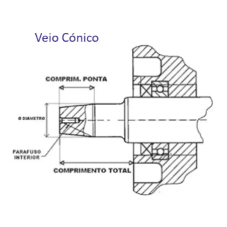 MOTOR GASOLINA HP LTV VEIO CONICO (Ø XMM)