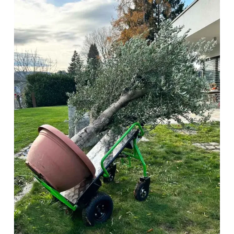 Carrinho Elétrico ZIPPER ET260 40V 260kg 5h Autonomia