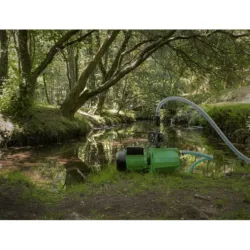 ELETROBOMBA AUTO FERRANTE 1500W VITO