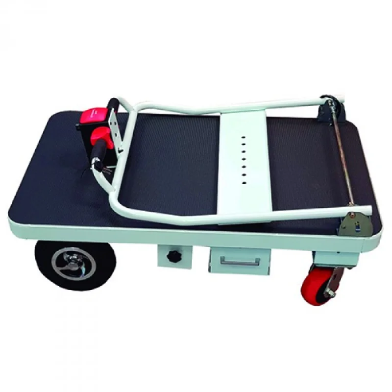 CARRO PLATAFORMA ELÉTRICO GAYNER