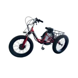 Triciclo de Transporte Industrial Elétrico Powered 500W 48V 25km/h
