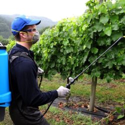 Pulverizador de Costas Manual 16L para Agricultura e Jardim - Image 3
