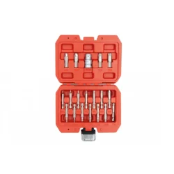 Kit Extrator de Perfis Danificados Torx/Hex 19 Peças KROFTOOLS