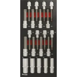Módulo de Espuma DRAKKAR Carbono 21 Peças 1/2″ Torx e Hexagonal