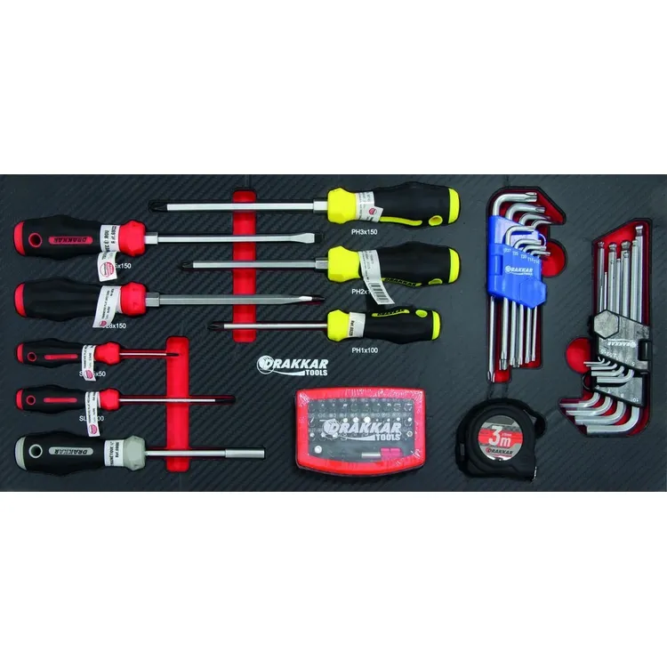 Módulo de Espuma DRAKKAR com Chaves de Fenda e Hex/Torx 60 Peças Módulo de Espuma DRAKKAR com Chaves de Fenda e Hex/Torx 60 Peças