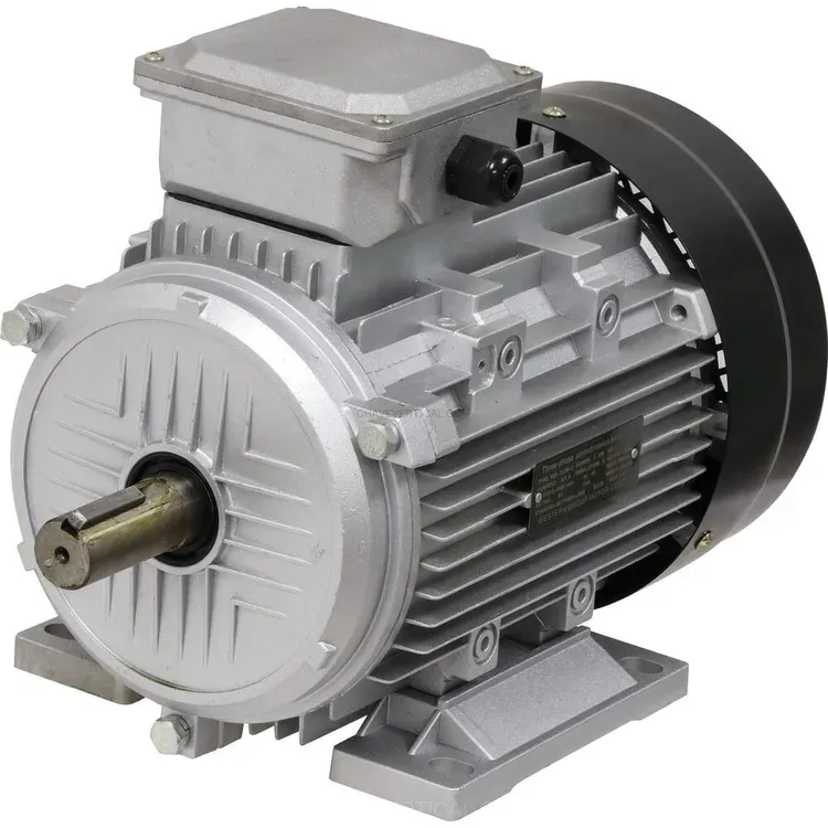 Motor Elétrico Trifásico KARZAN 5,5CV 400V 3000 rpm