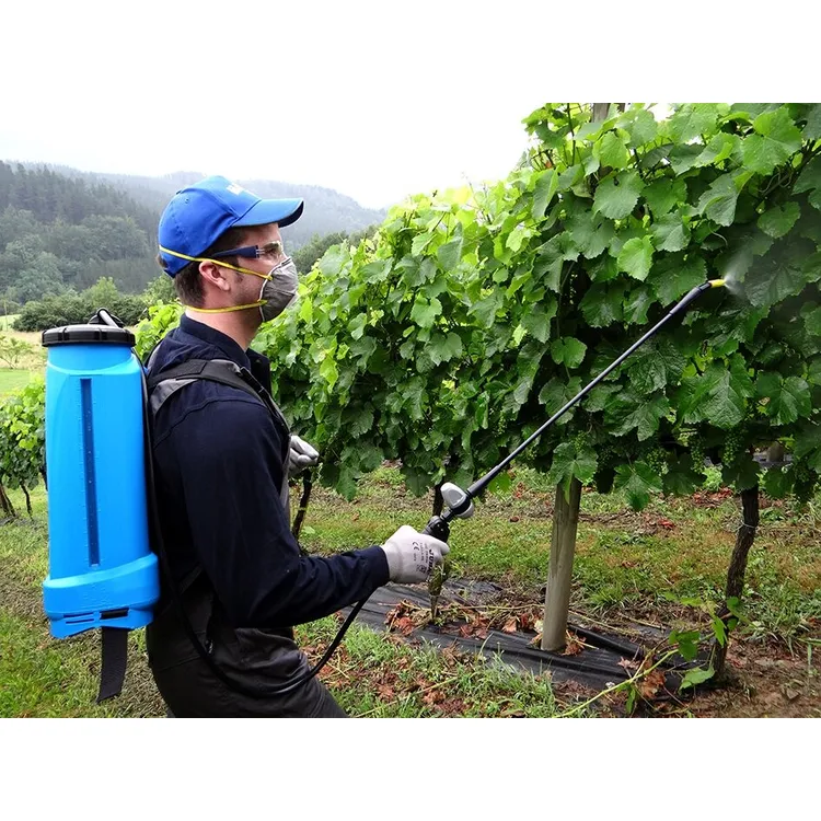Pulverizador de Costas Manual 16L para Agricultura e Jardim