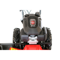Gadanheira de Tambor VARI BDR-620DH Dorotha Honda GCV200 62cm