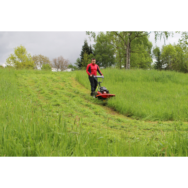 Gadanheira de Tambor VARI BDR-720D Adela PRO Honda GCV200 70cm