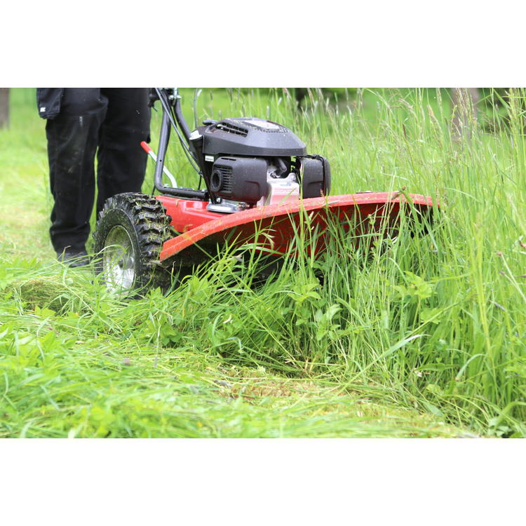 Gadanheira de Tambor VARI BDR-720D Adela PRO Honda GCV200 70cm